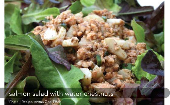 salmon-salad-with-water-chestnuts_Anna's-Cool-Finds_Design-Crush