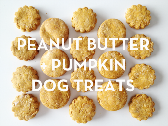 peanut butter pumpkin dog treat recipe
