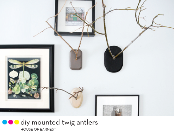 diy-mounted-twig-antlers-House-of-Earnest-Design-Crush