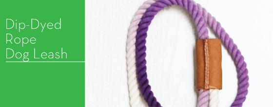 Best-of-2013-Dip-Dyed-Rope-Dog-Leash-Design-Crush