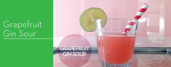 Best-of-2013-Grapefruit-Gin-Sour-Design-Crush