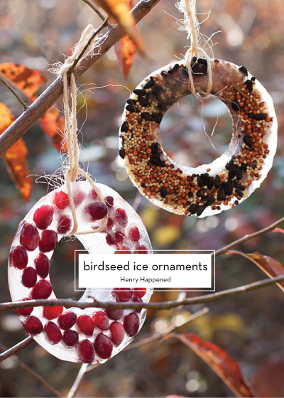 birdseed-ice-ornaments-Henry-Happened-Design-Crush