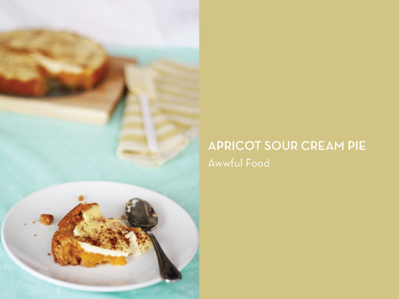 Apricot-Sour-Cream-Pie-Awwful-Food-Design-Crush