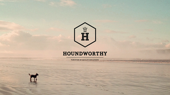 Houndworthy-1-Design Crush