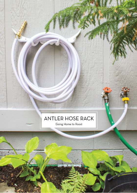 ANTLER-HOSE-RACK-Going-Home-to-Roost-Design-Crush