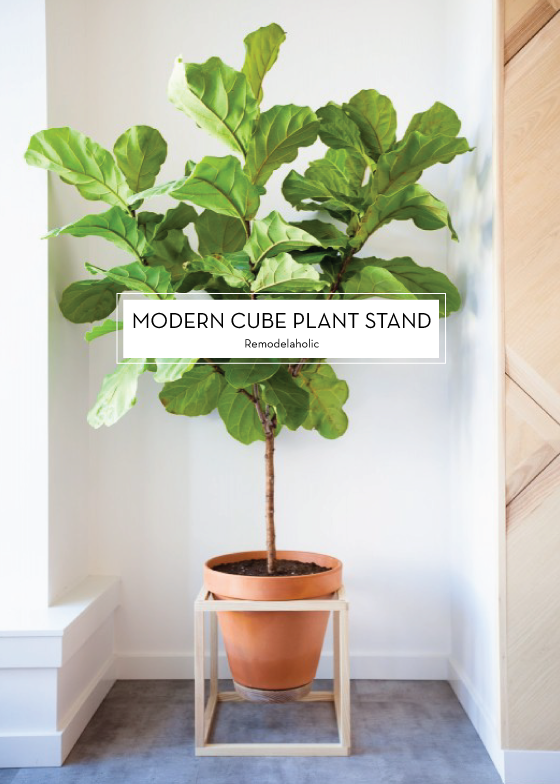 MODERN-CUBE-PLANT-STAND-Remodelaholic-Design-Crush