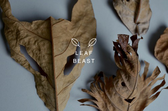 Leaf Beast-3-Design Crush