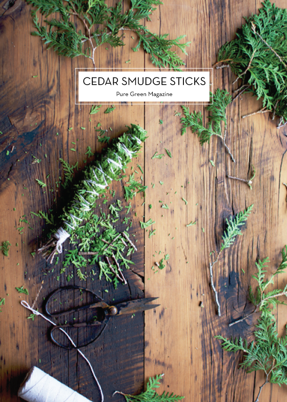 CEDAR-SMUDGE-STICKS-Pure-Green-Magazine-Design-Crush