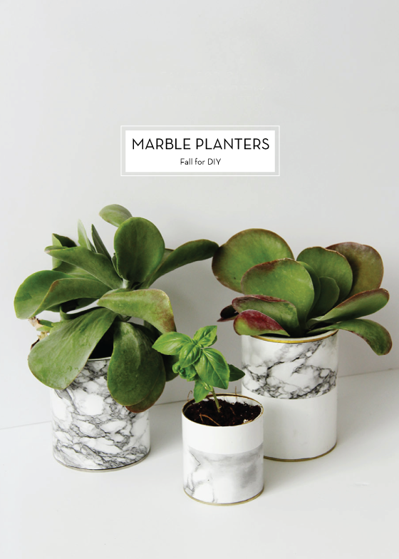 MARBLE-PLANTERS-Fall-for-DIY-Design-Crush