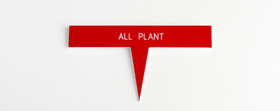 Plant Talkers-3-Design Crush