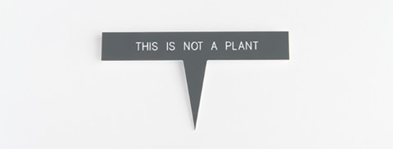 Plant Talkers-4-Design Crush